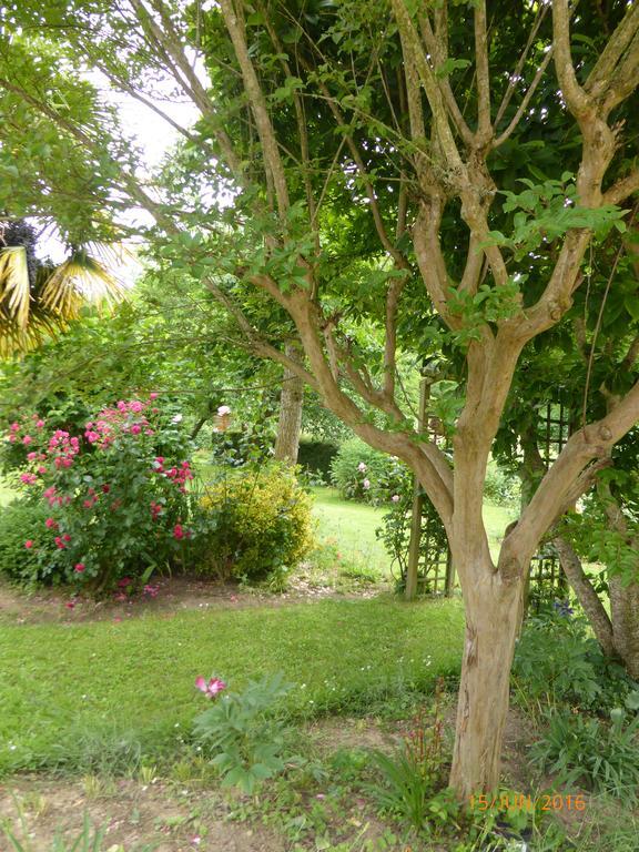 Bedbreakfastbikespyrenees Bed & Breakfast Loubieres Exterior photo